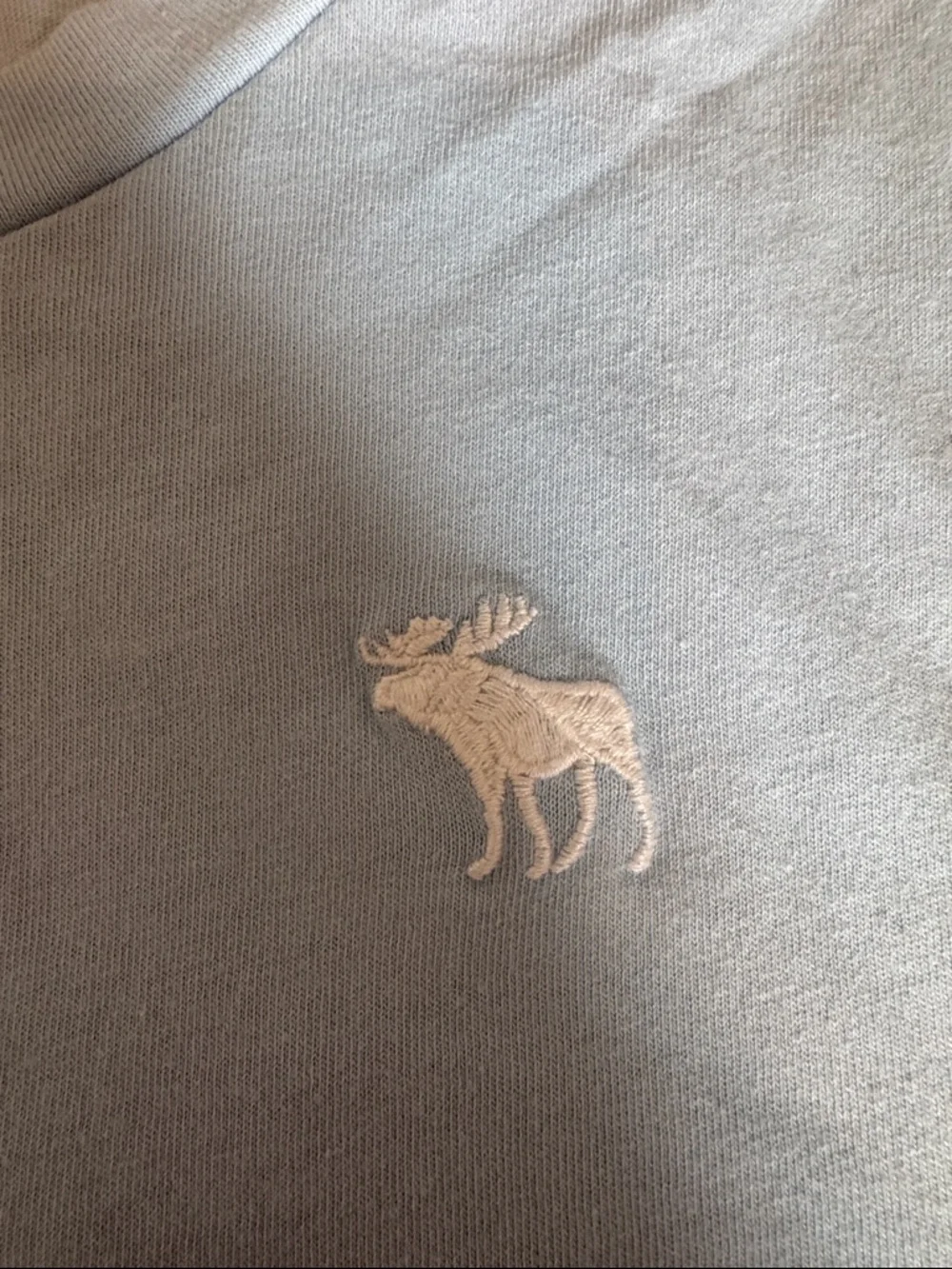 Abercrombie & Fitch Light Blue Short Sleeve Logo Tee - Picture 3 of 4